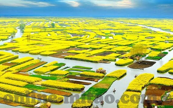 大象传媒每天免费观看-畅游大象传媒，每日免费观影的乐趣之旅