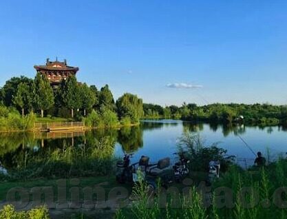 麻豆传媒-在虚拟与现实交织的边缘——麻豆传媒现象的多元化分析