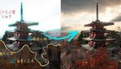 糖心vlog官网下载版-揭秘糖心vlog，背景与下载版优势分析